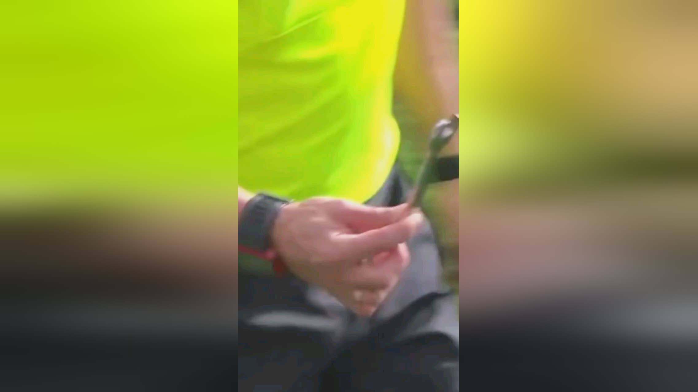 的色彩无论